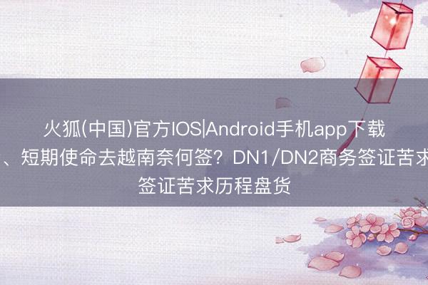 火狐(中国)官方IOS|Android手机app下载 商务检查、短期使命去越南奈何签？DN1/DN2商务签证苦求历程盘货