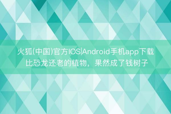 火狐(中国)官方IOS|Android手机app下载 比恐龙还老的植物，果然成了钱树子