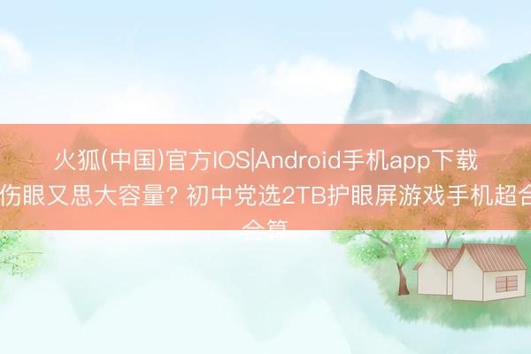 火狐(中国)官方IOS|Android手机app下载 怕伤眼又思大容量? 初中党选2TB护眼屏游戏手机超合算