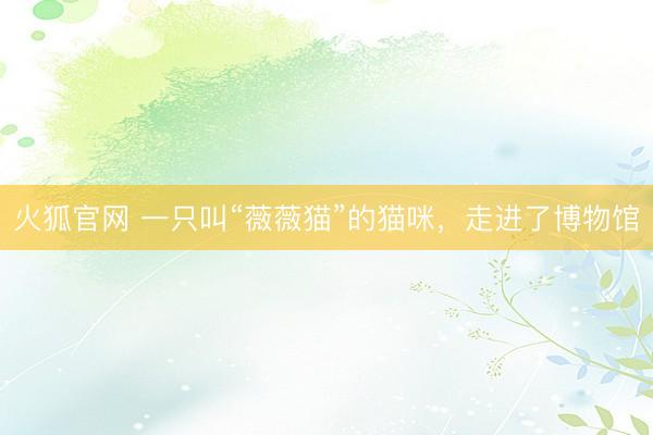 火狐官网 一只叫“薇薇猫”的猫咪，走进了博物馆