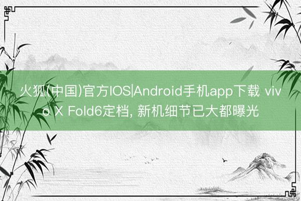火狐(中国)官方IOS|Android手机app下载 vivo X Fold6定档， 新机细节已大都曝光